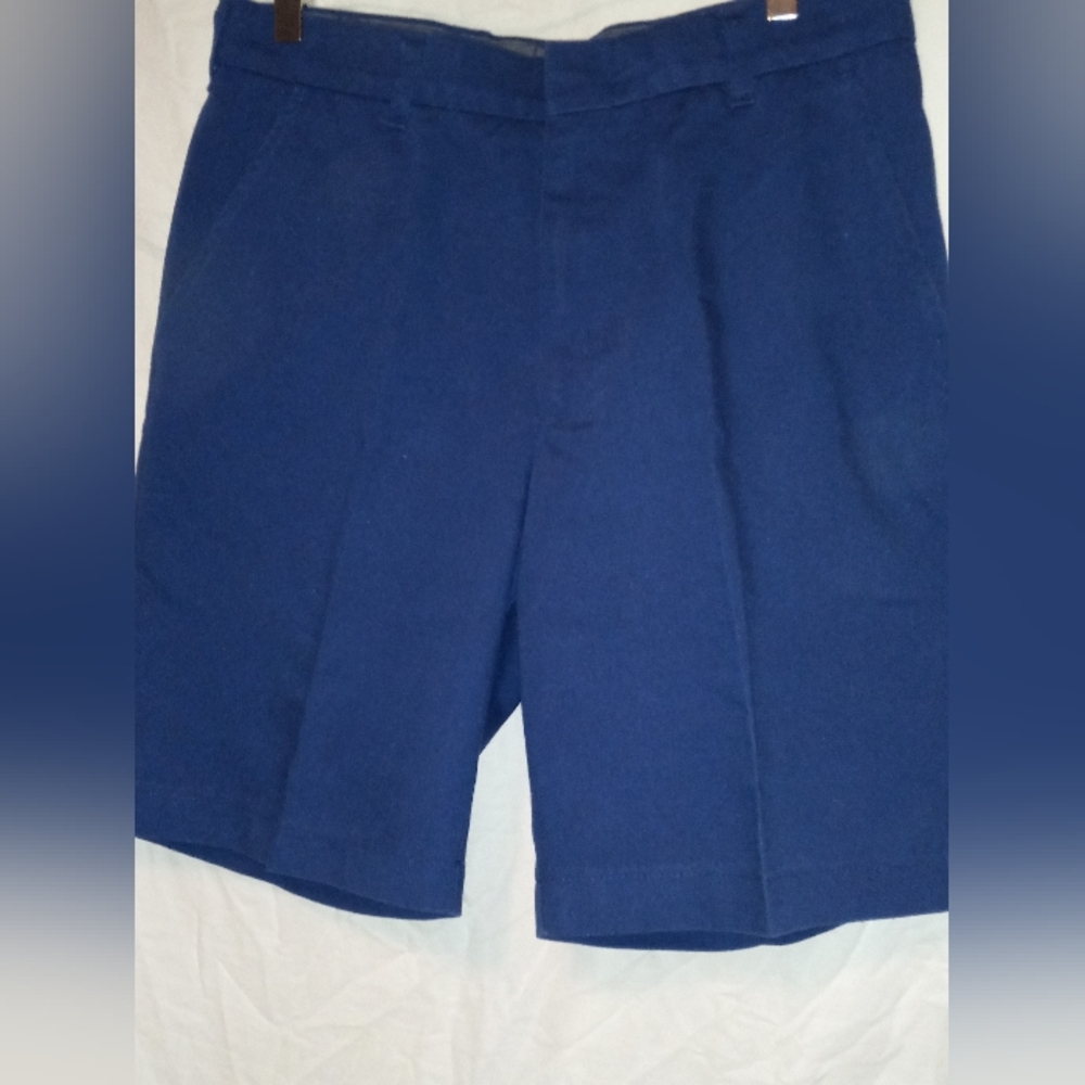 Men's Blue Shorts